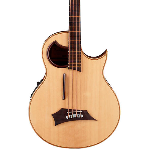 Alien 4-String Acoustic-Electric Bass