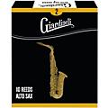 Giardinelli Alto Saxophone Reed 10-Pack 2.52