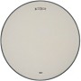 Slingerland Ambassador Coated Snare Drumhead With Script Logo - 14