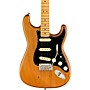 Fender American Professional II Roasted Pine Stratocaster Maple Fingerboard Electric Guitar Natural