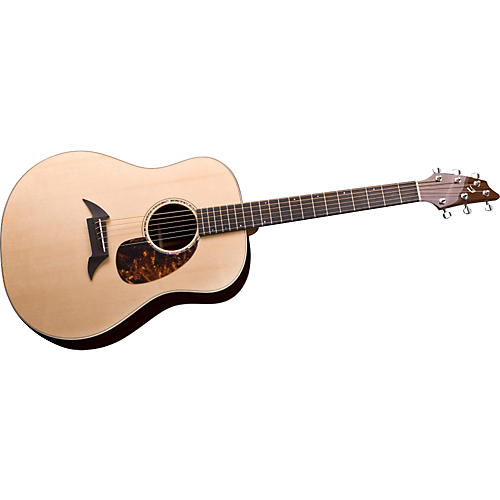 American Series D20/SR Acoustic Guitar