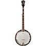 Washburn Americana B16 Resonator Banjo