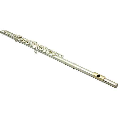 Anniversary 765 Quantz Coda Professional Flute