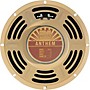 Mojotone Anthem Series Guitar Amp Speaker - 10 in. 16 Ohm
