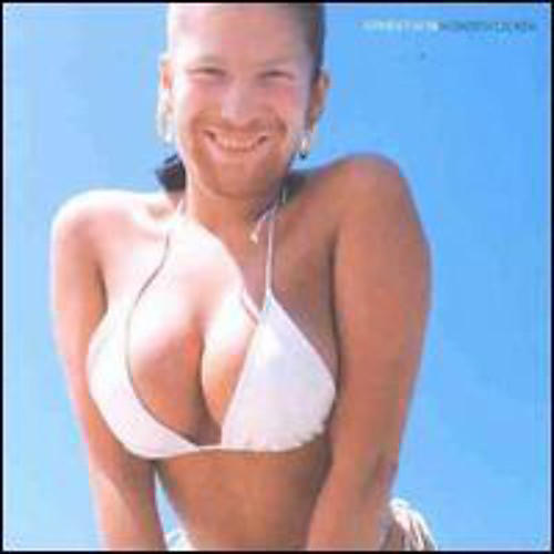 Aphex Twin - Windowlicker