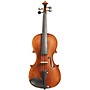 Stentor Arcadia Series Violin Outfit 4/4