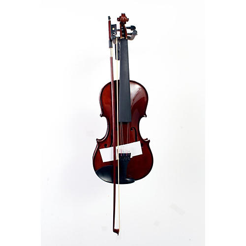 Arlentry 4/4 Violin Outfit