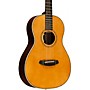 Breedlove Artisan Adirondack Spruce Parlor Acoustic-Electric Guitar - Vintage Toner 31511