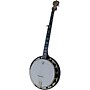 Deering Artisan Goodtime II 5-String Resonator Banjo