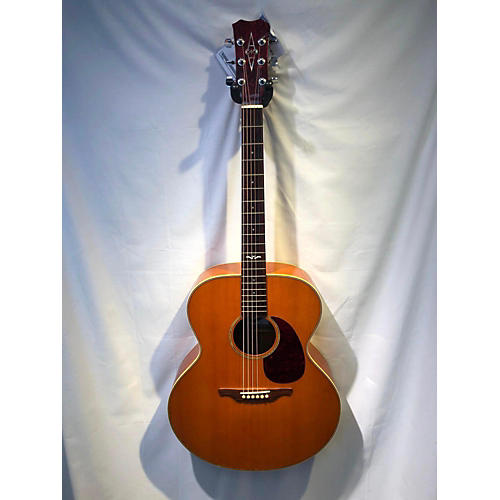 Artist 5072 Acoustic Guitar