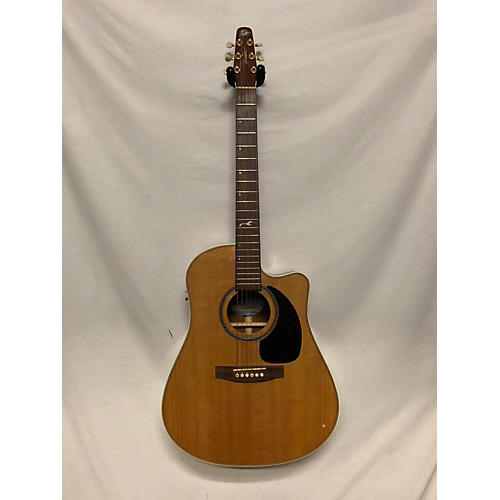 Artist Portrait CM QII Acoustic Electric Guitar