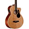 Artist Series AB60CE Acoustic-Electric Bass Guitar Level 2 Natural 888366069387