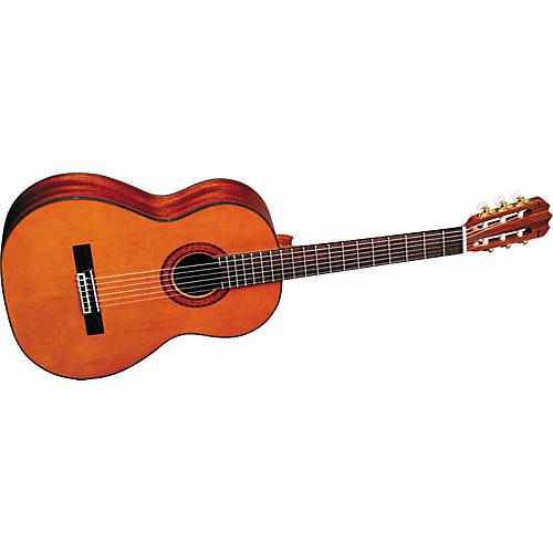 Artist Series AC60S Classical Acoustic Guitar