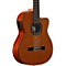 Artist Series AC65CE Classical Acoustic-Electric Guitar Level 2 Natural 190839085610