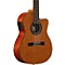 Artist Series AC65HCE Classical Hybrid Acoustic-Electric Guitar Level 2 Natural 888365391335