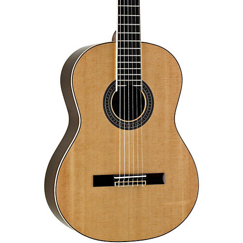 Artist Series AC70 Classical Acoustic Guitar