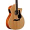 Artist Series AG60CE Grand Auditorium Acoustic-Electric Guitar Level 2 Natural 888365393414