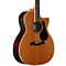 Artist Series AG75CE Grand Auditorium Acoustic-Electric Guitar Level 2 Natural 888365320021