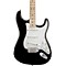 Artist Series Eric Clapton Stratocaster Electric Guitar Level 2 Black 190839034847