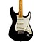 Artist Series Eric Johnson Stratocaster Electric Guitar Level 2 2-Color Sunburst,Maple Fretboard 888365725055