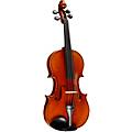 Ren Wei Shi Artist Viola 16 in. with Arcolla Bow and Oblong Case15 1/2 In. with Arcolla Bow and Oblong Case