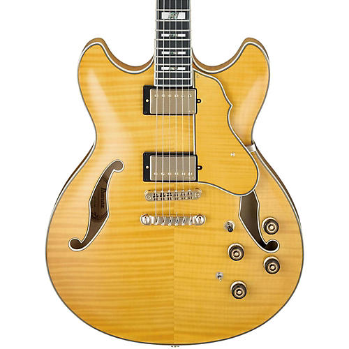 Artstar Series AS153 Semi-Hollow Electric Guitar