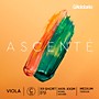 D'Addario Ascente Series Viola C String 12 to 13 in., Medium