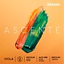 D'Addario Ascente Series Viola G String 15 to 16 in., Medium