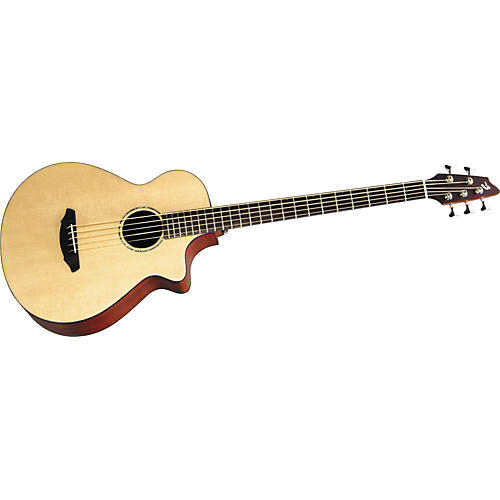 Atlas ABJ250/SM5 5-String Acoustic-Electric Bass