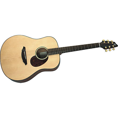 Atlas Series AD20/SM Acoustic Guitar