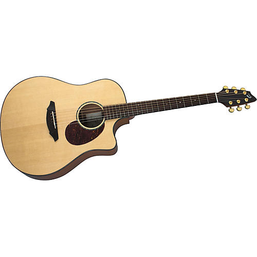Atlas Series AD25/SM Acoustic-Electric Guitar