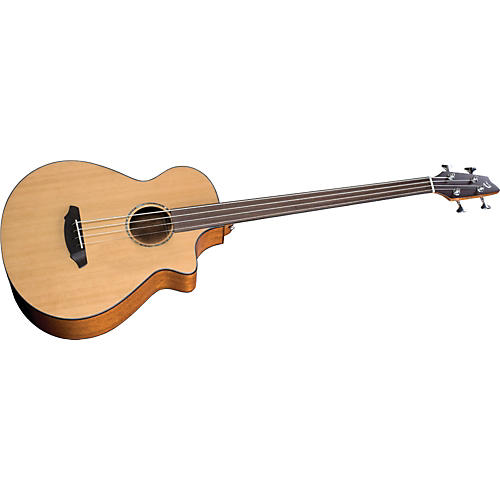 Atlas Series Solo BJ350/CM4 Fretless Acoustic-Electric Bass Guitar