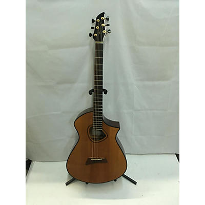 Avante Av2 Acoustic Guitar