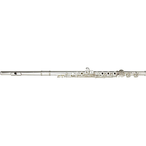 B1 Series Professional Flute