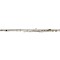 B2 Series Professional Flute Level 1 Silver Inline G