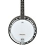 Ibanez BA250 USA 250th Anniversary Resonator Banjo - Eagle