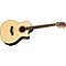 BAR-8 Baritone Mahogany/Spruce 8-String Acoustic-Electric Guitar Level 2 Natural 888365848143