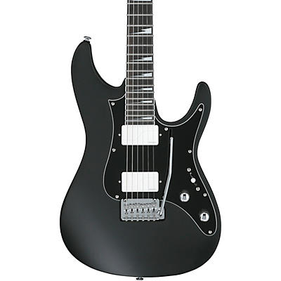 Ibanez BER10 Bernth Signature Electric Guitar