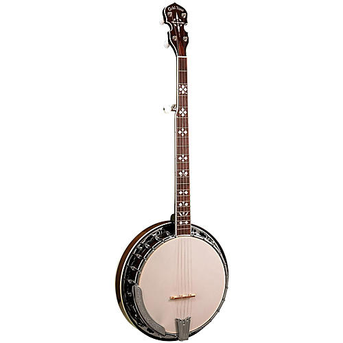 BG-150F Bluegrass Banjo