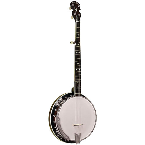BG-250 Bluegrass Special Banjo