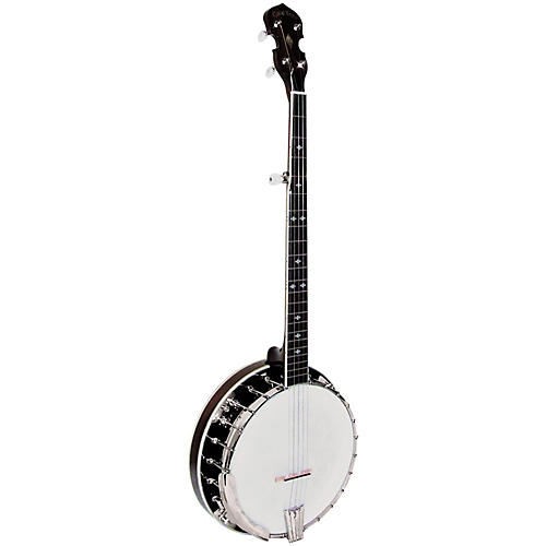 BG-250F Resonator Banjo