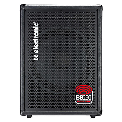 BG250 250W 1x15 Bass Combo Amp