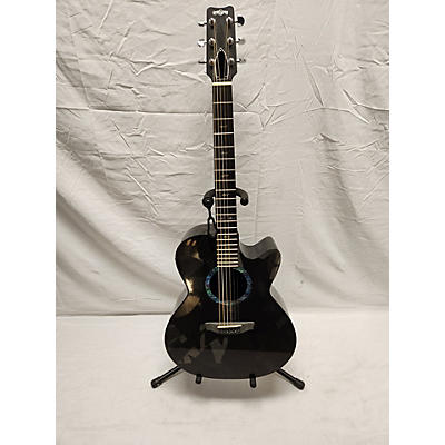 RainSong BI-W51000N2 Acoustic Electric Guitar