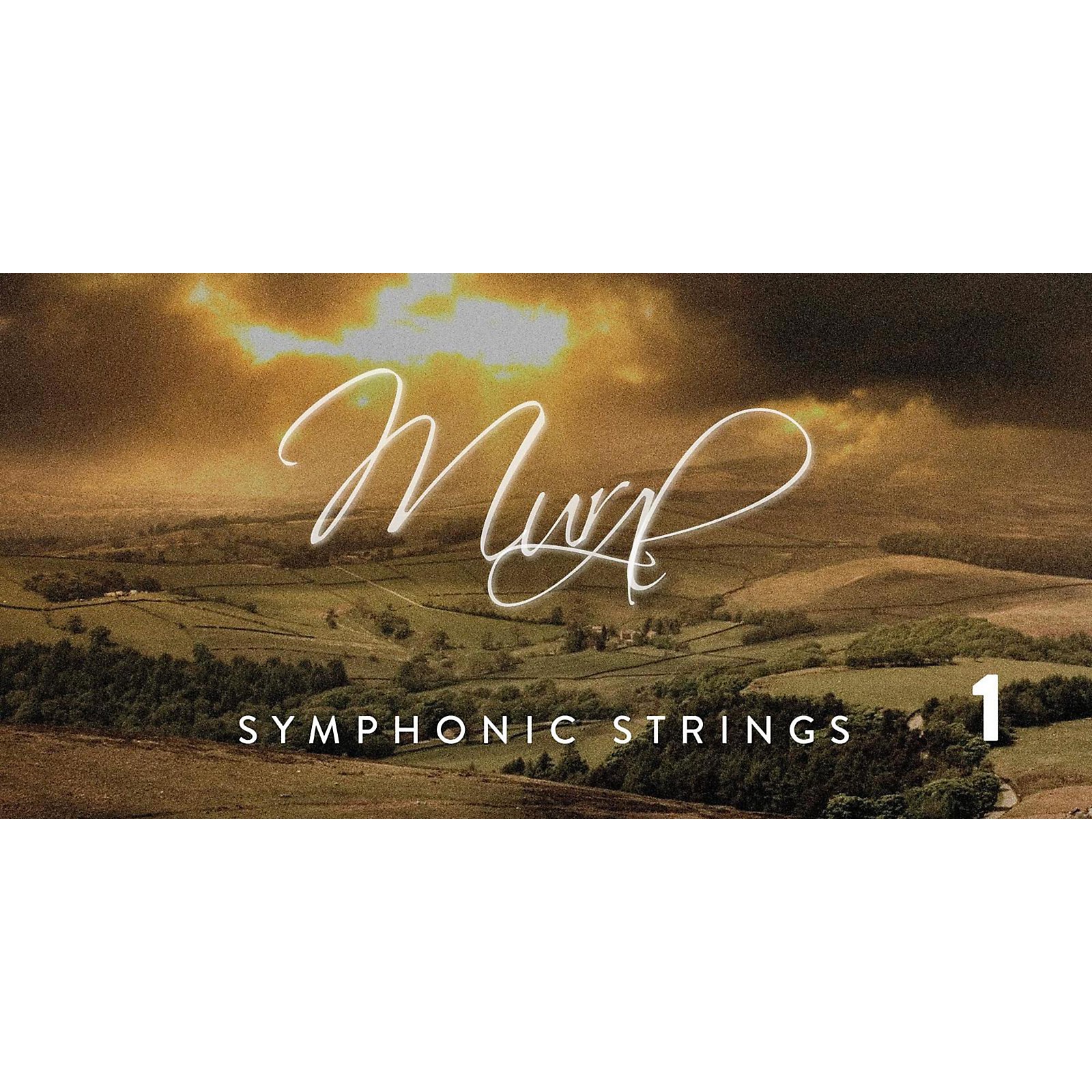 Spitfire BML Symphonic Strings Mural 1 Musician's Friend