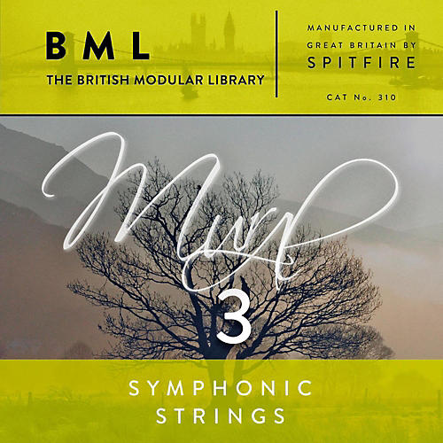 BML Symphonic Strings Mural 3