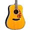 BR-180A Adirondack Top Craftsman Series Dreadnought Acoustic Guitar Level 2 Natural 888365771991