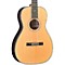 BR-371 Parlor Acoustic Guitar Level 2 Regular 888366039762