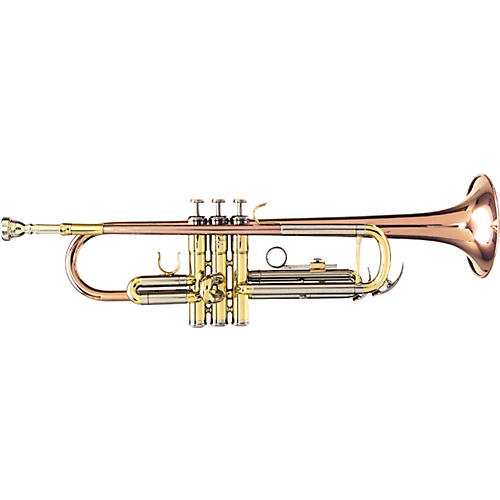 BRG101 Series Student Bb Trumpet