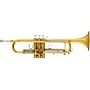 Blessing BTR-1460M Performance Series Bb Trumpet Brushed Matte Yellow Brass Bell