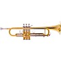 Blessing BTR-1660 Artist Series Professional Bb Trumpet Raw Brass Yellow Brass Bell